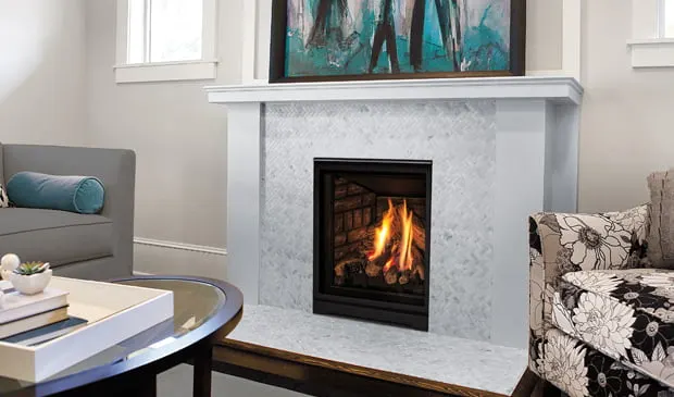 Enviro Q1 Gas Fireplace