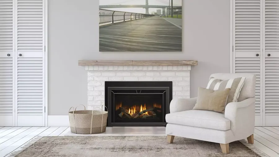 Heat n Glo Cosmo Gas Fireplace Insert