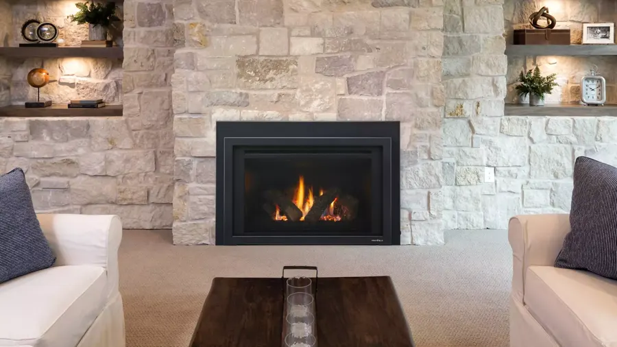 Heat n Glo Provident Gas Fireplace Insert