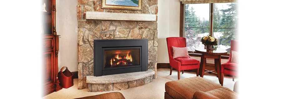 Regency E33 Gas Insert