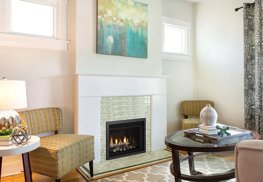 Regency HRi3E Gas Insert