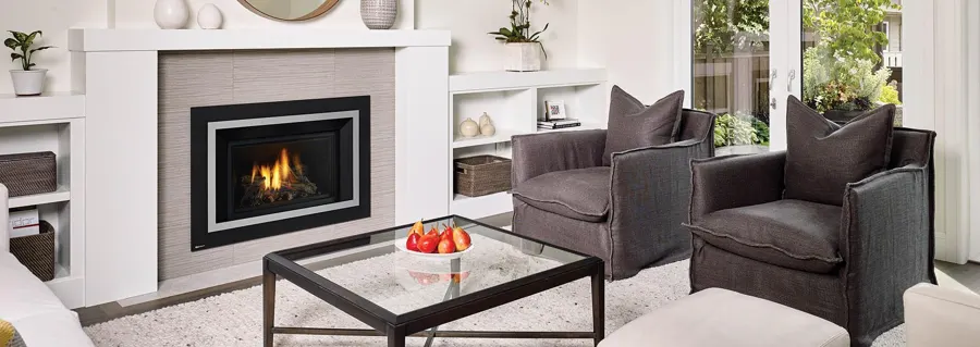 Regency HRI4E Gas Insert