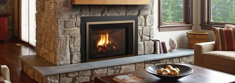 Regency LRI6E Gas Insert