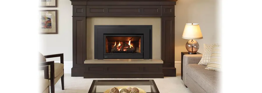 Regency U31 Gas Insert